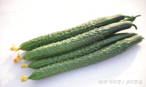 黄莲素和小檗碱片成份一样吗-小檗碱和黄连素哪个效果更好、黄连素和小檗碱区别是什么 -黄连素和小檗碱有什么区别网